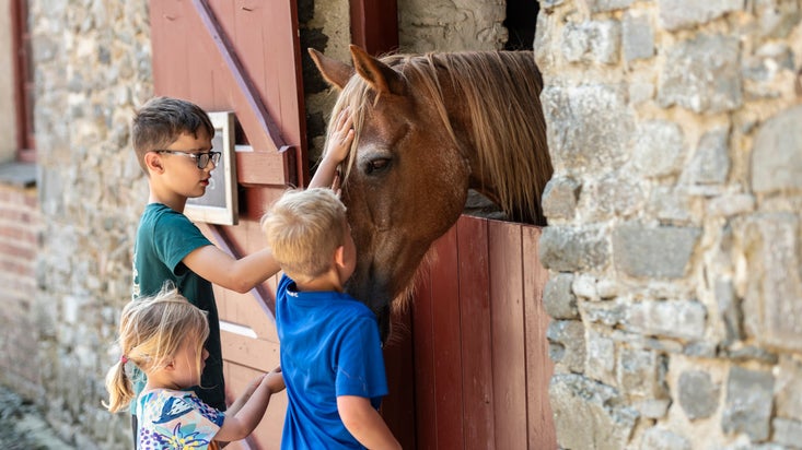 Children petting a horse in a Stable at Llanerchaeron, Ceredigion